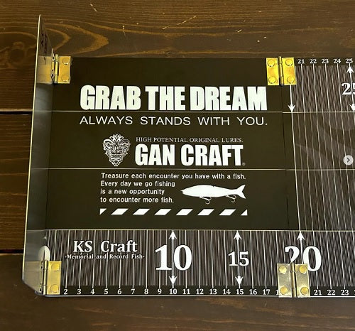 Gan Craft Measure